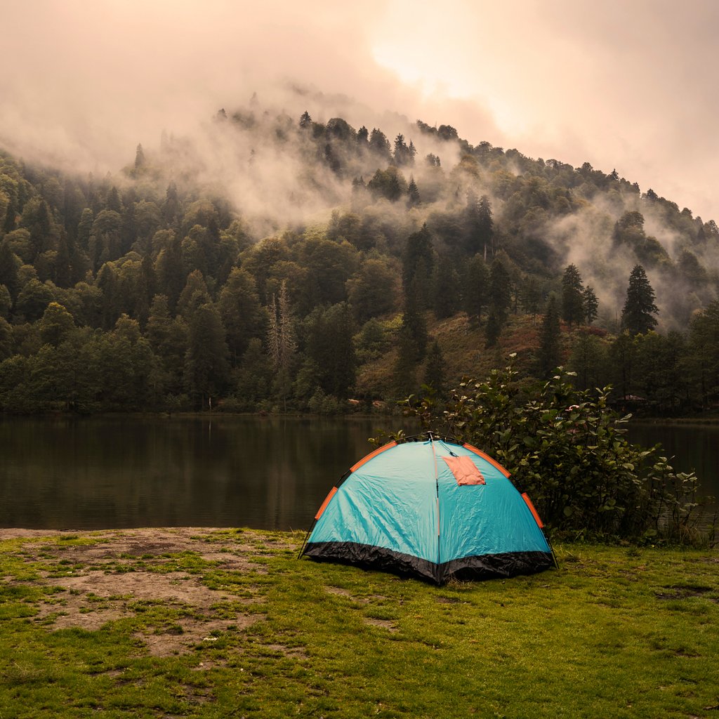 default avatar 2020 27