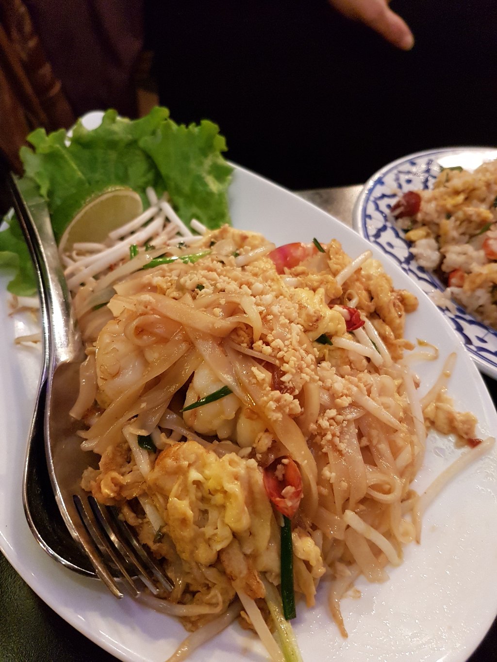 20170209 213916 largejpg rotated 90