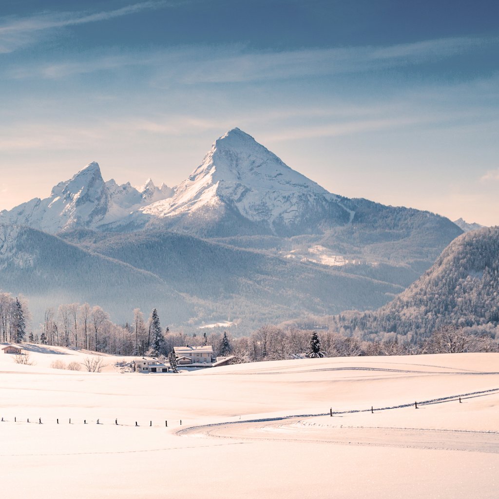 default avatar 2020 26