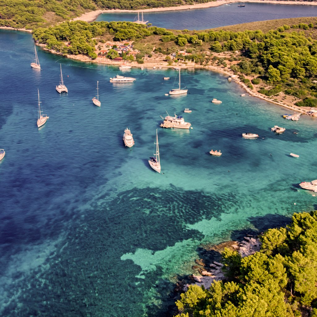 default avatar 2020 32