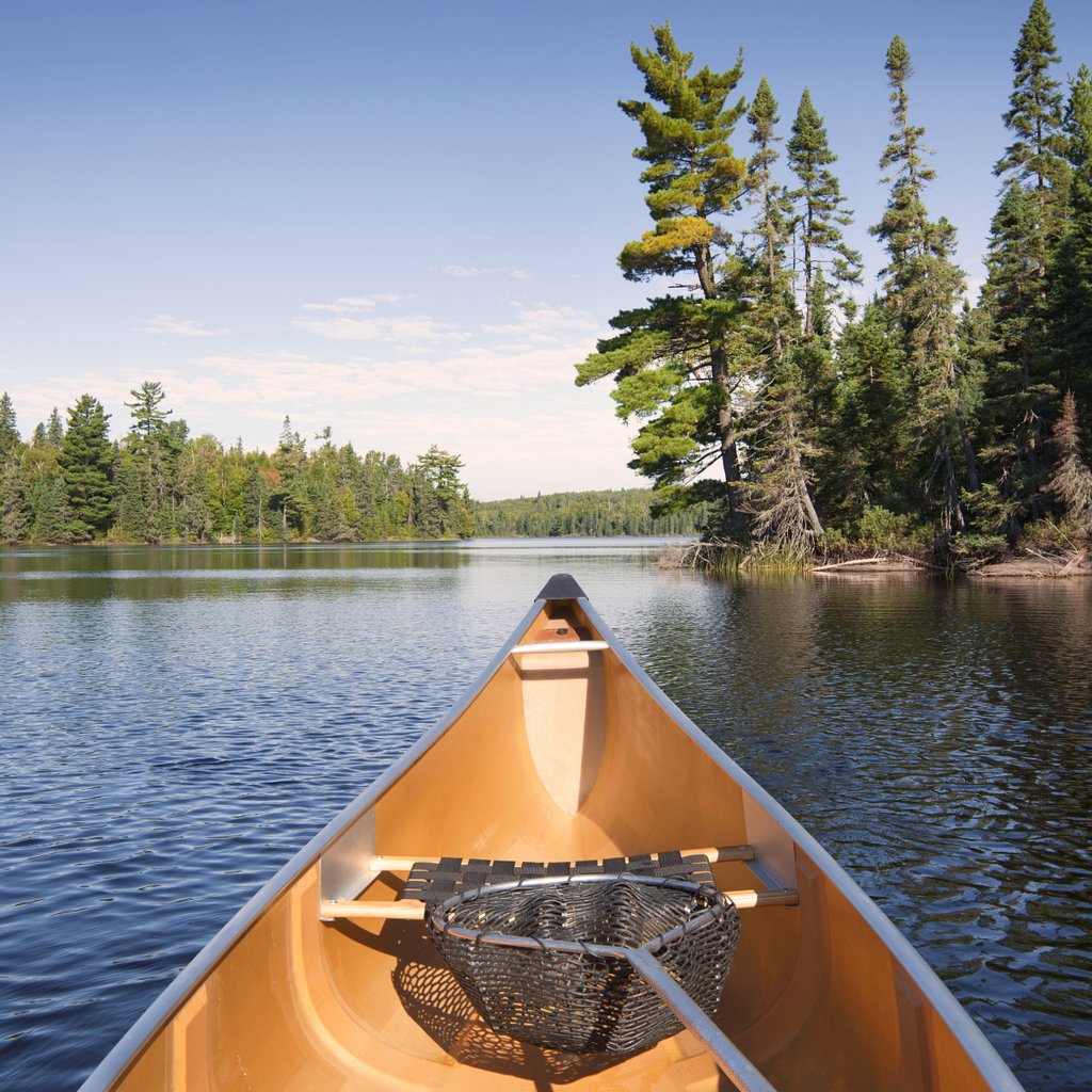 default avatar 2020 38