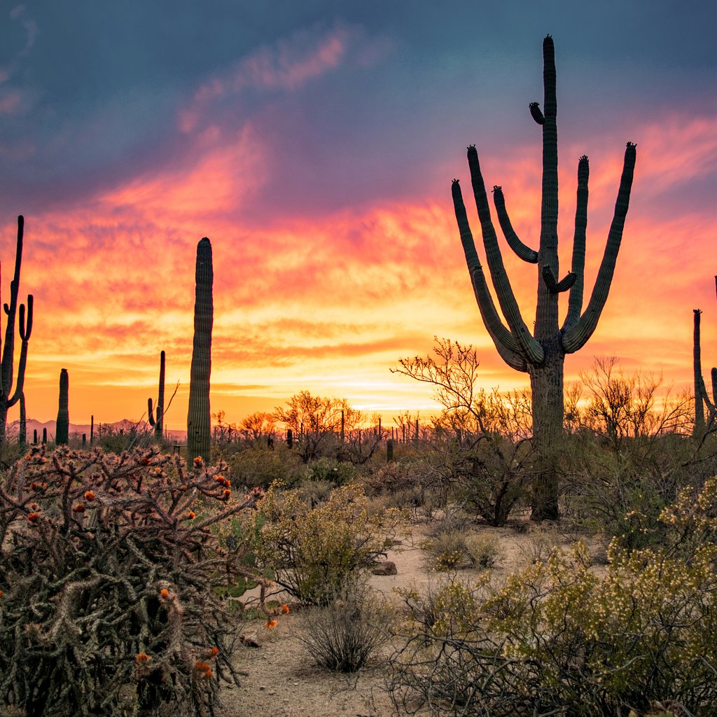 default avatar 2020 42 2