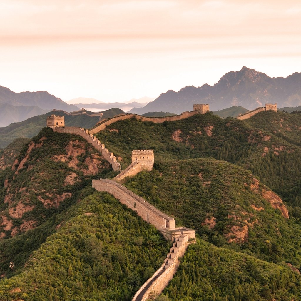 default avatar 2020 43 1