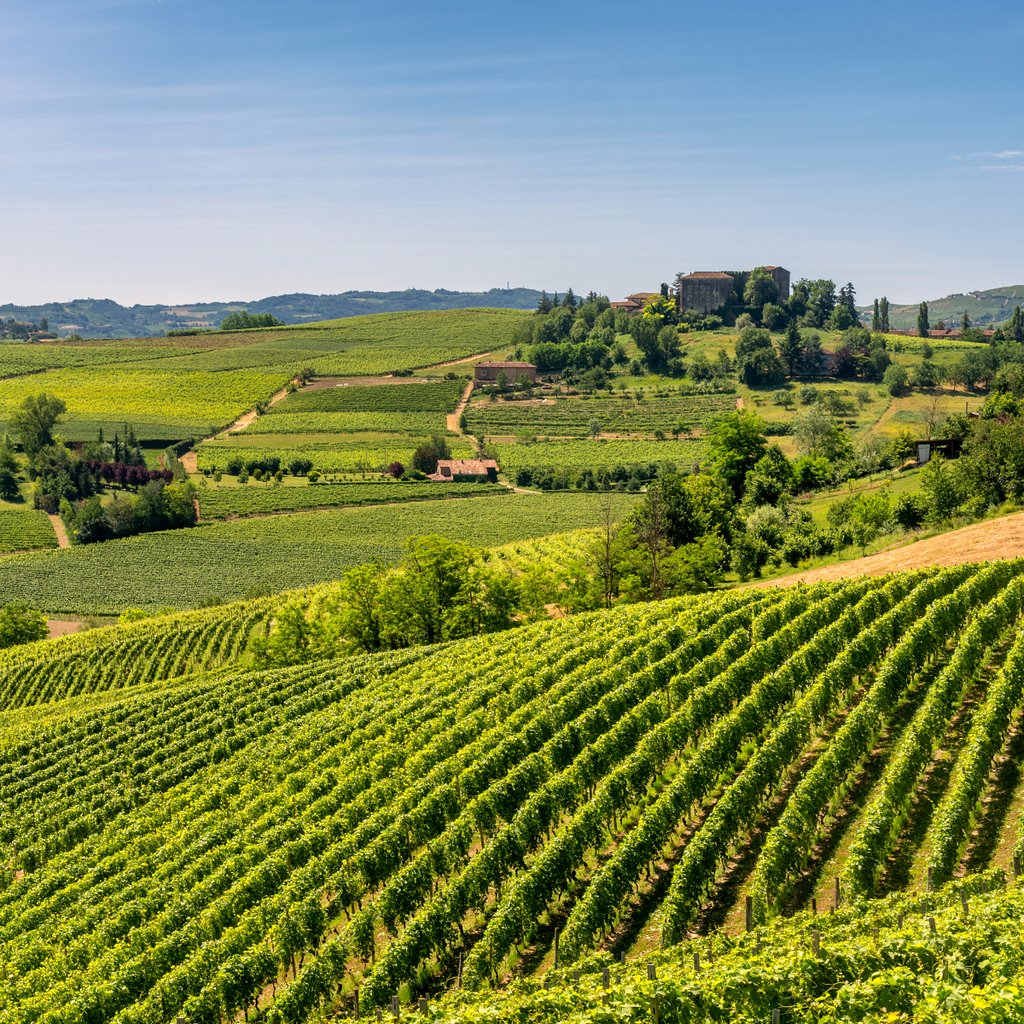 default avatar 2020 59