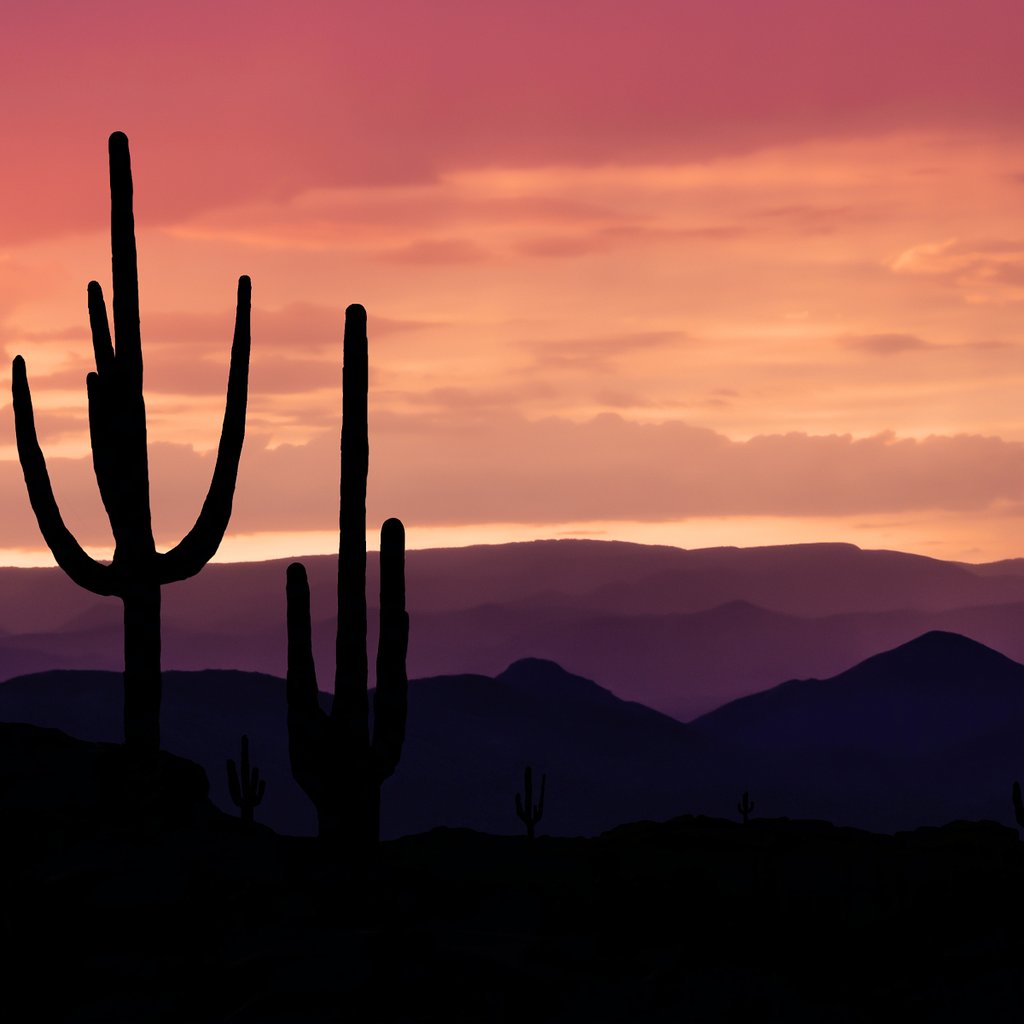 default avatar 2020 66