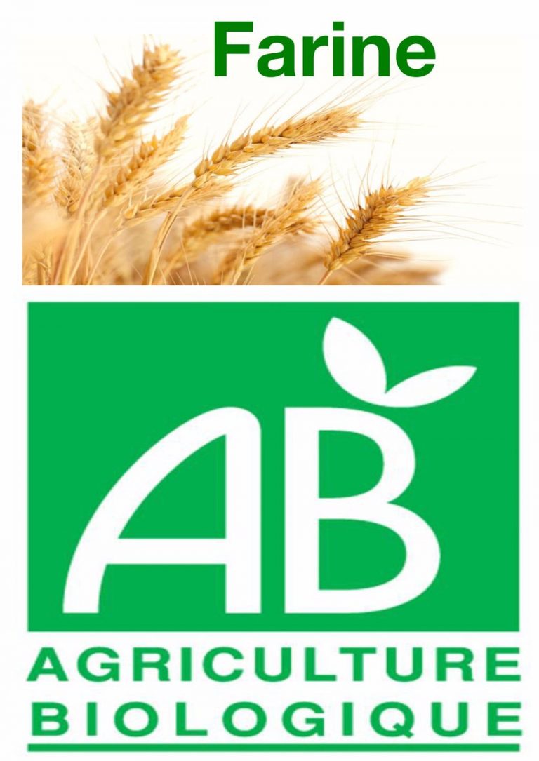 farine bio 768x1085