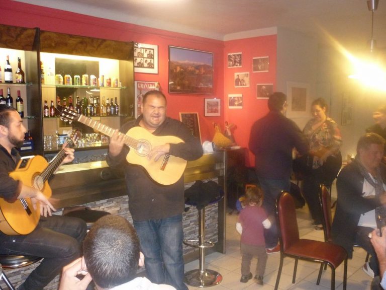 flamenco 768x576