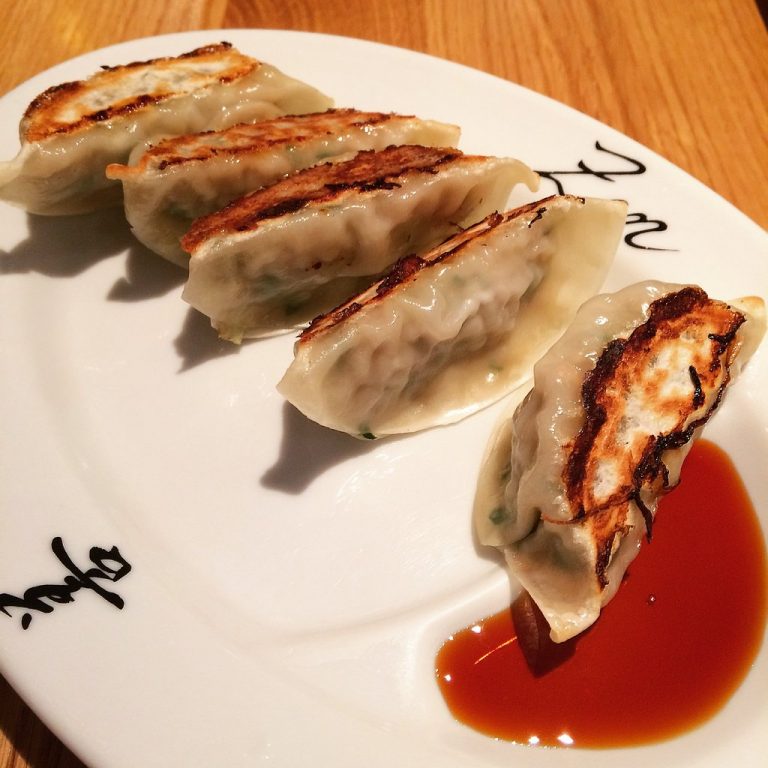 gyoza 768x768