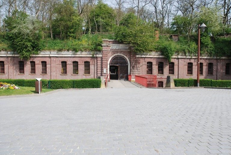 le fort 768x514