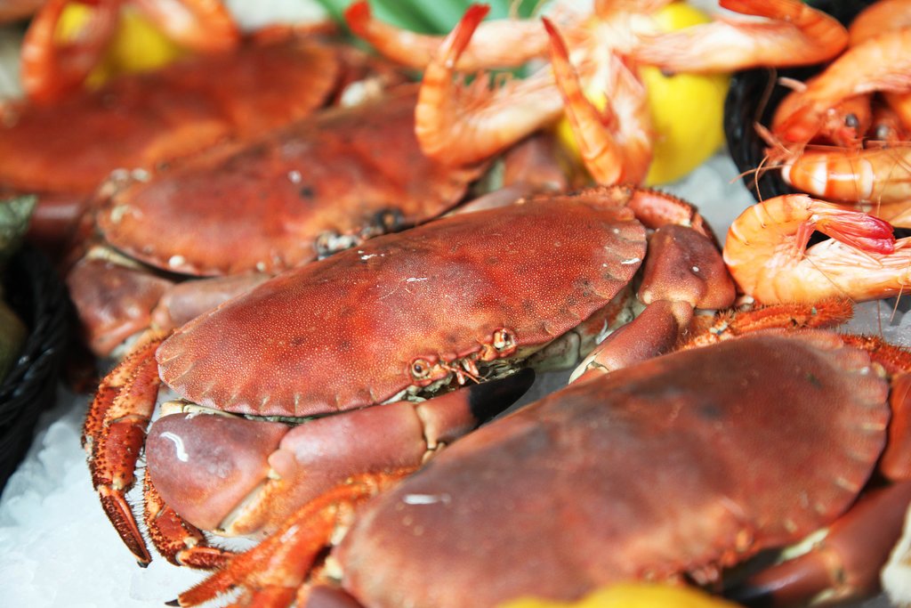 le phare boulogne a boulogne