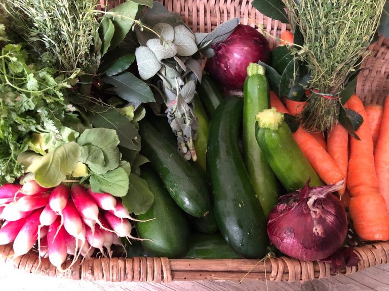 les legumes de nos petits 768x576