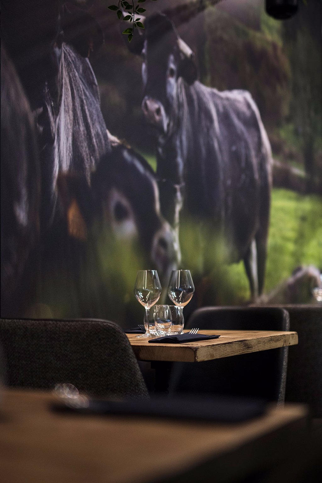 photo matthieu cellard