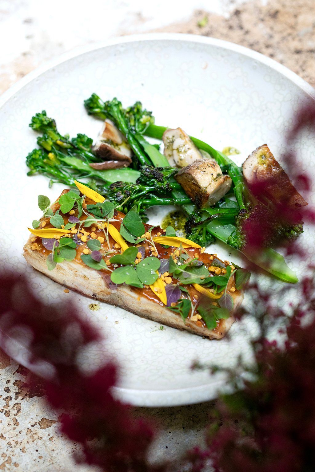 pouliche paris 10 amandine