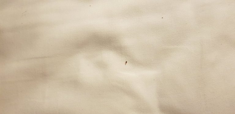 resized 20200125 084017 768x374