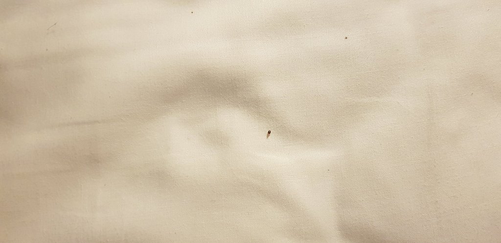 resized 20200125 084017