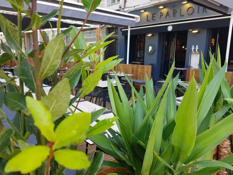 terrasse 9 768x576
