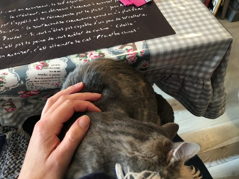 un petit moment calin 768x576