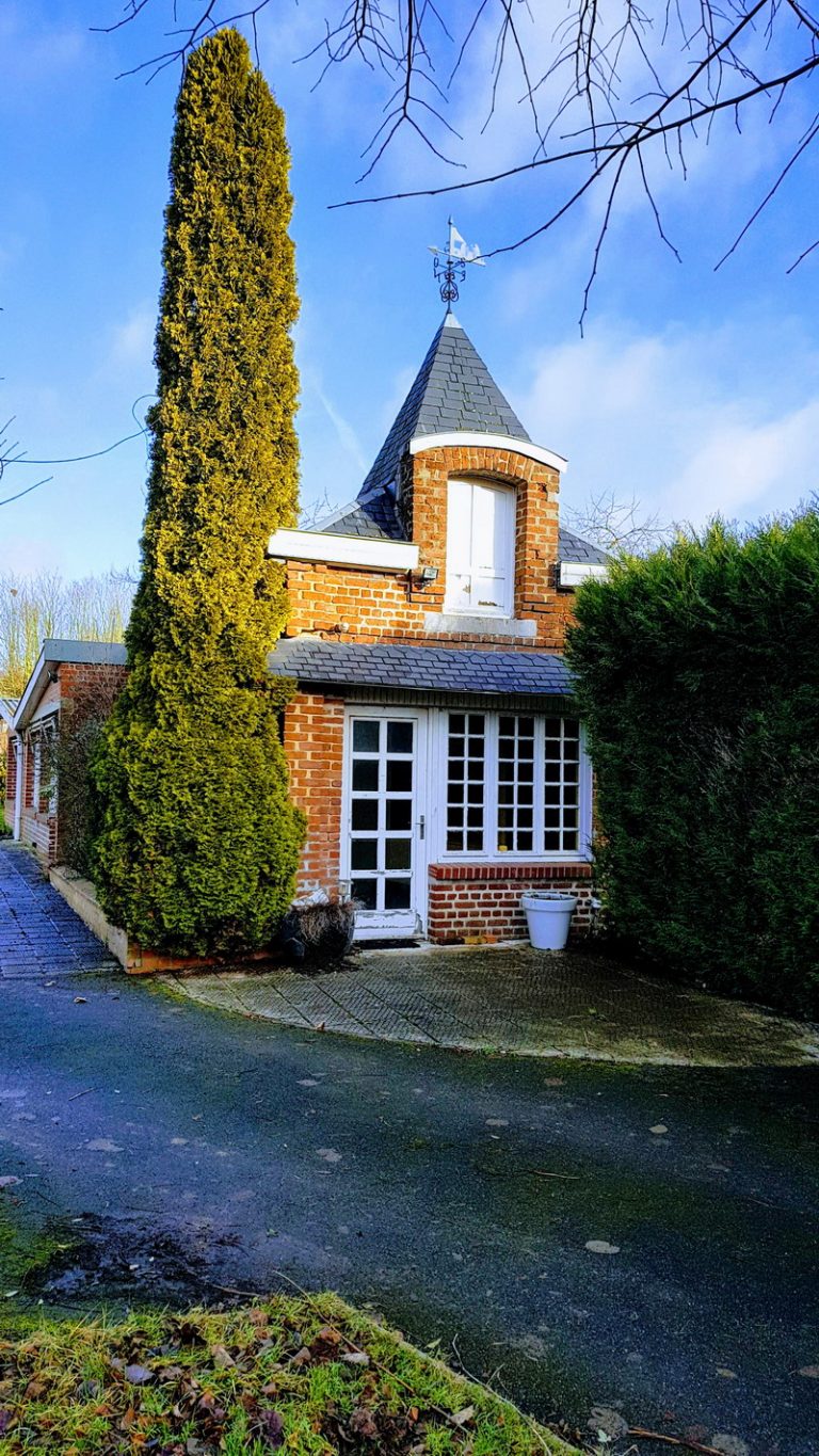 20190108 105040 EFFECTS 1 768x1365