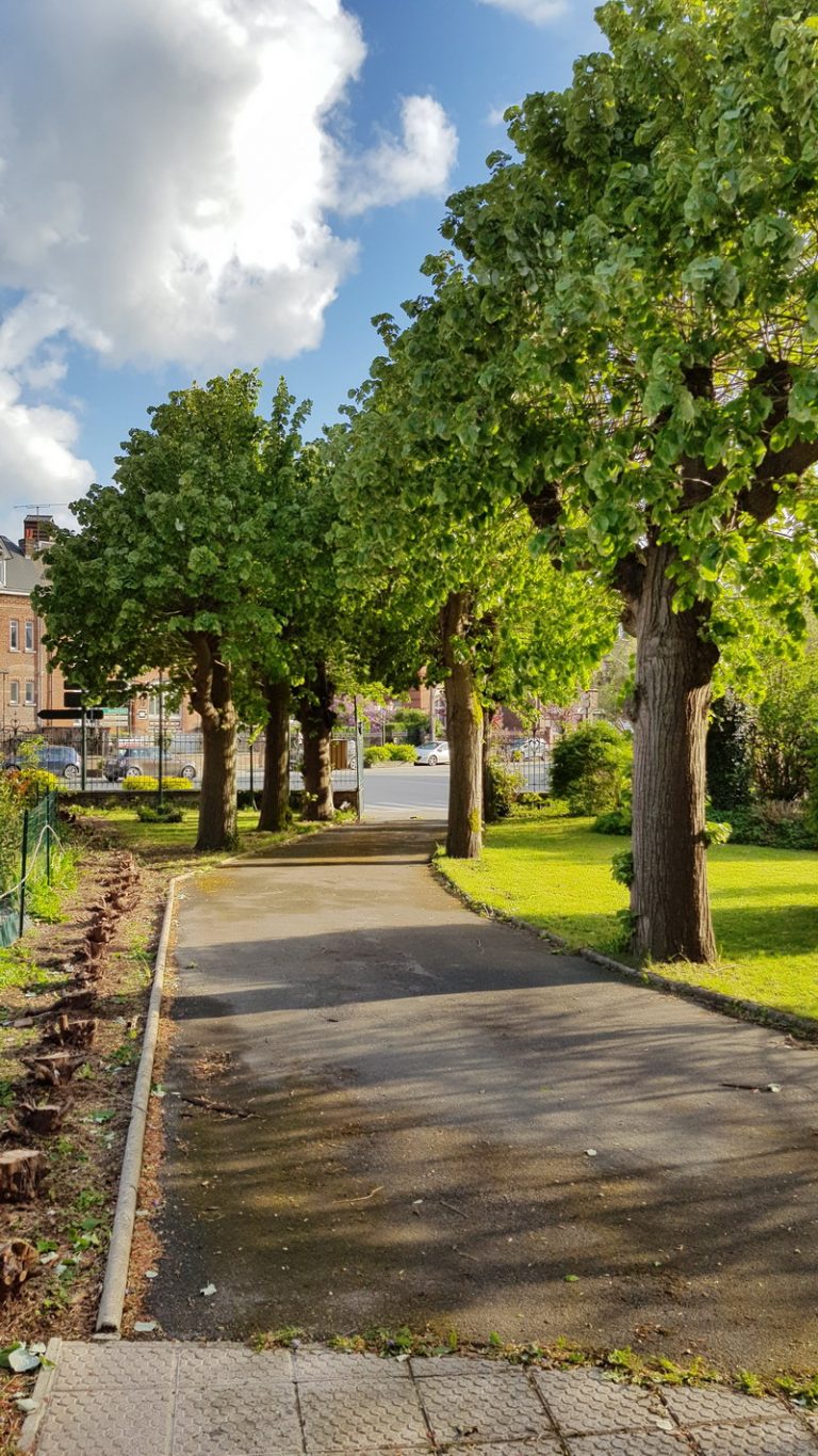 20190427 185646 1 768x1365