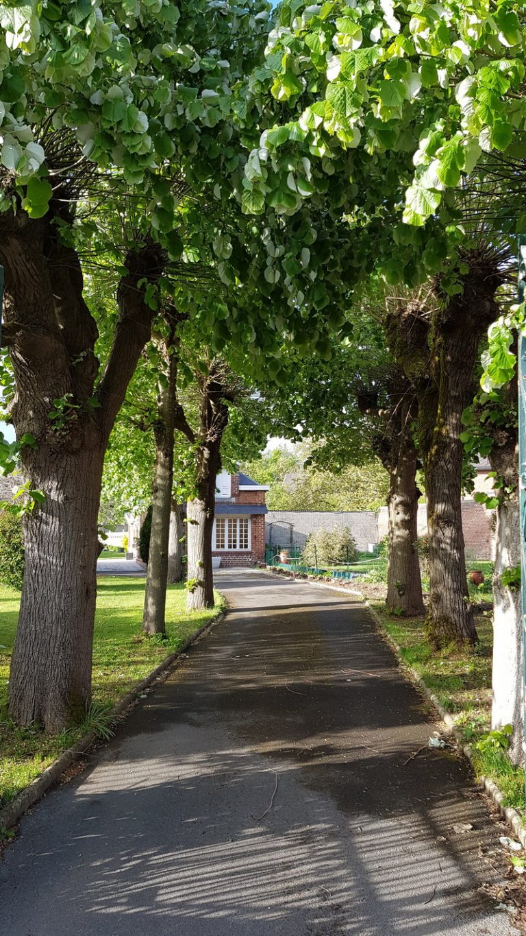 20190427 185724 1 768x1365