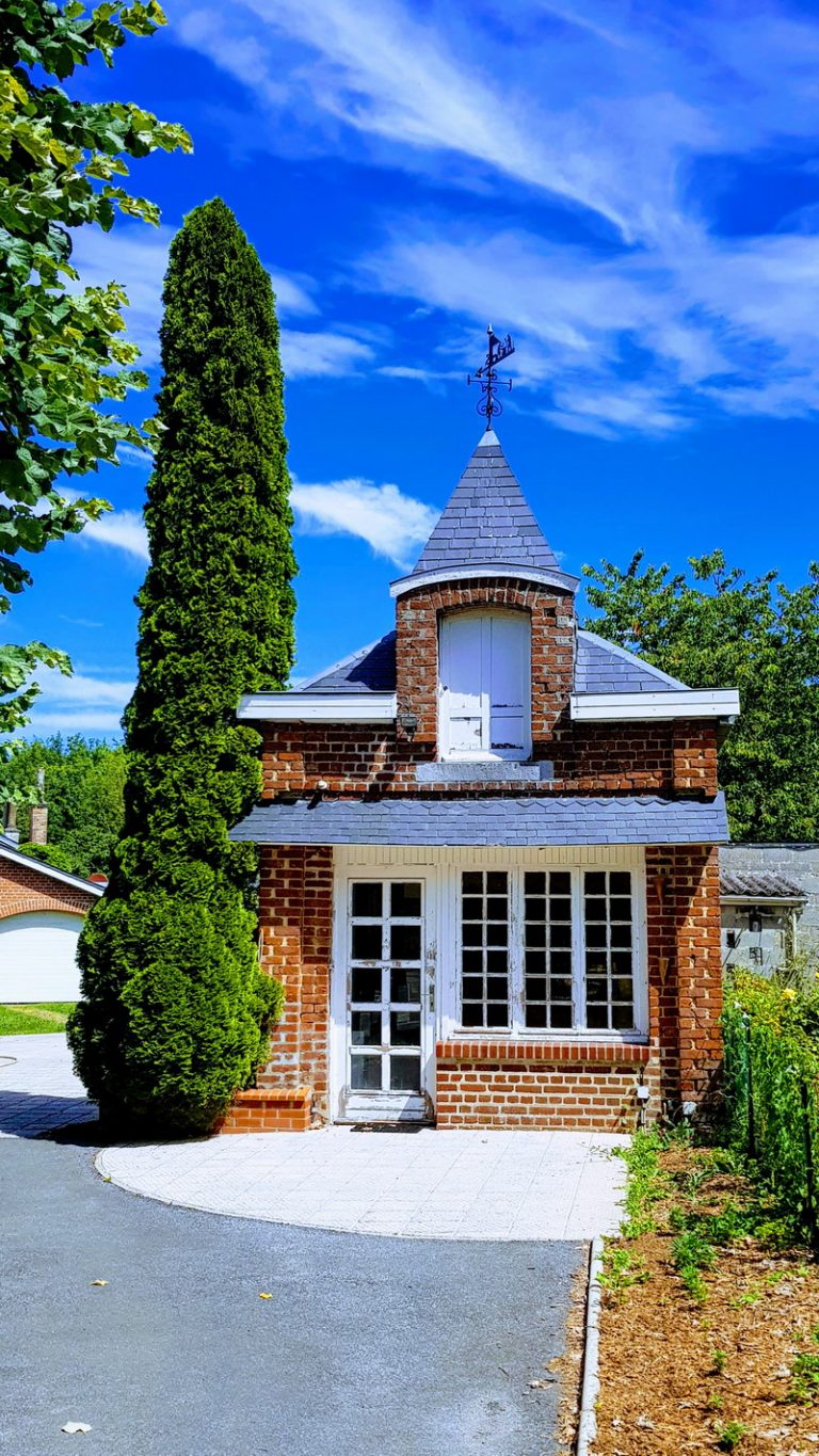 20190705 120954 768x1365