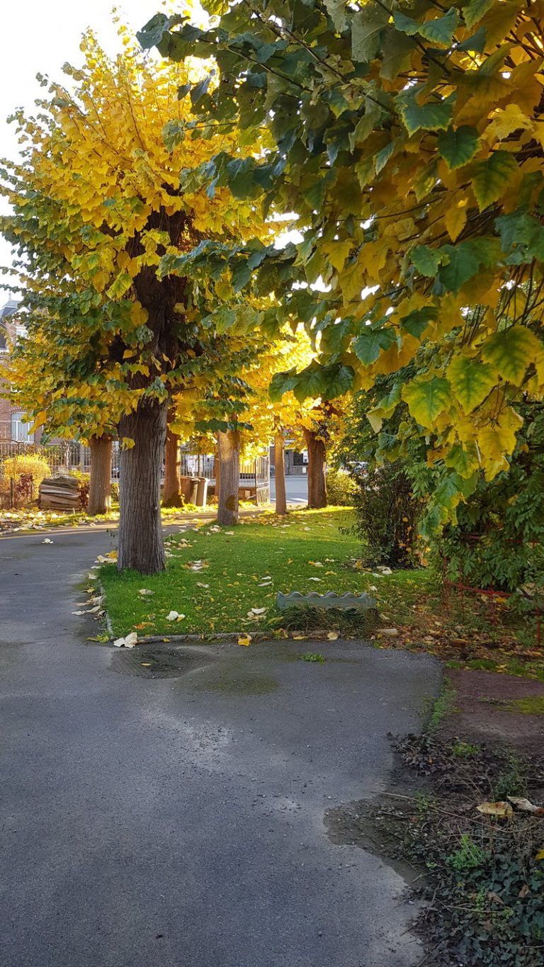 20201118 154340 1 768x1365