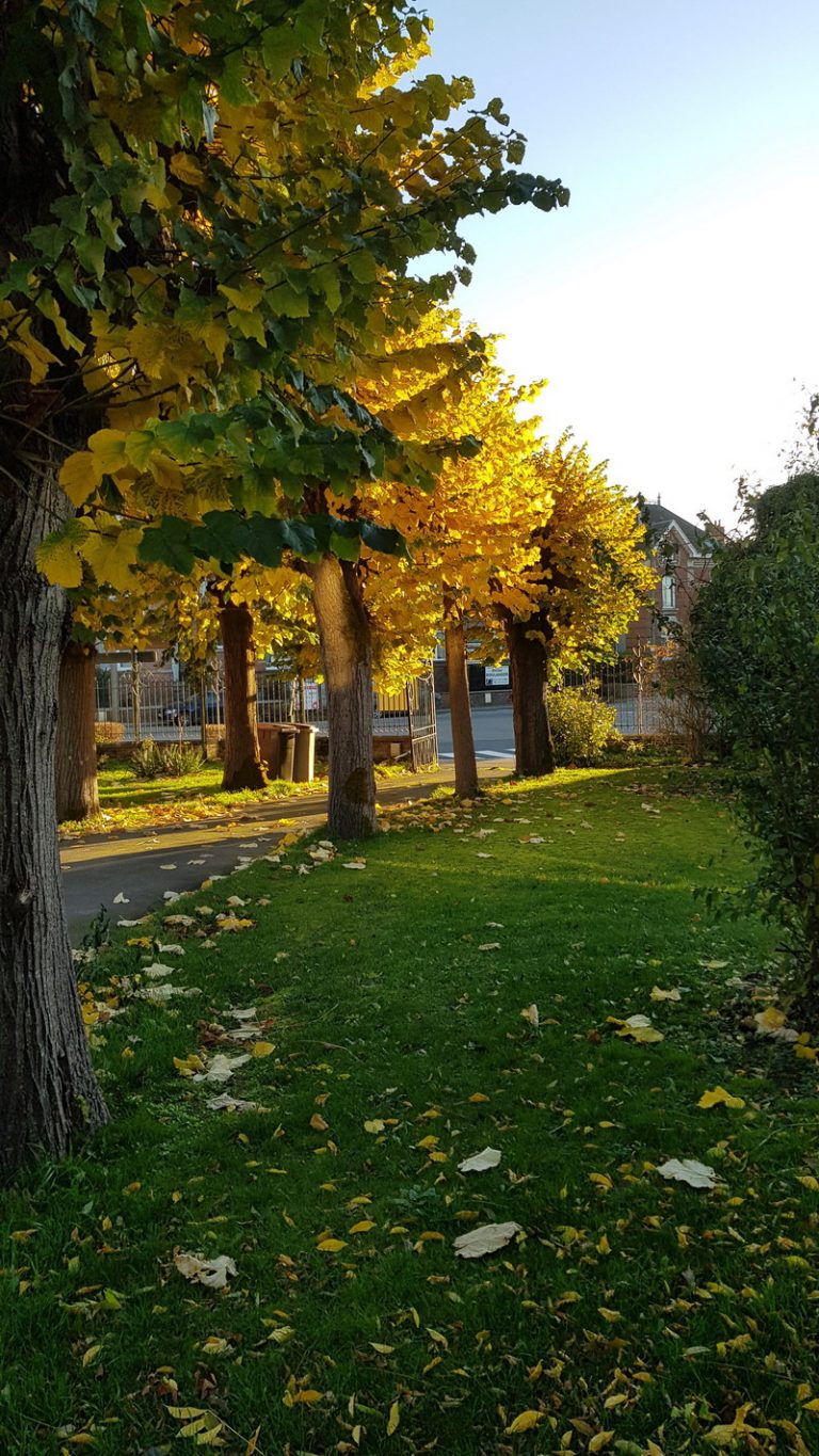 20201118 154353 1 768x1365