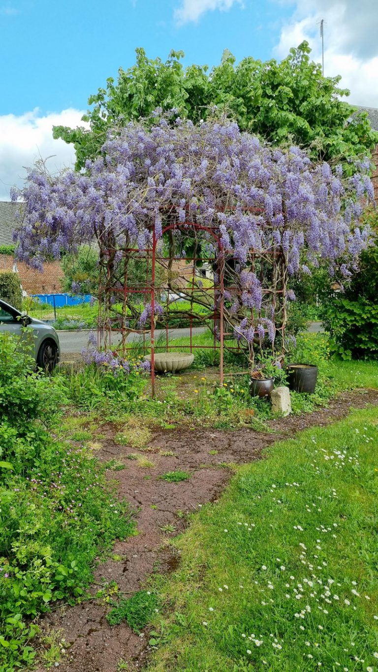 20230516 145330 768x1365