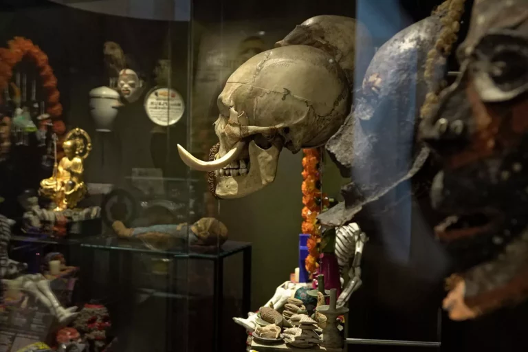 gal de lhomme 117 1.jpg 768x512